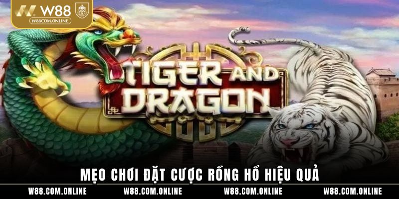 Mẹo chơi đặt cược rồng hổ hiệu quả