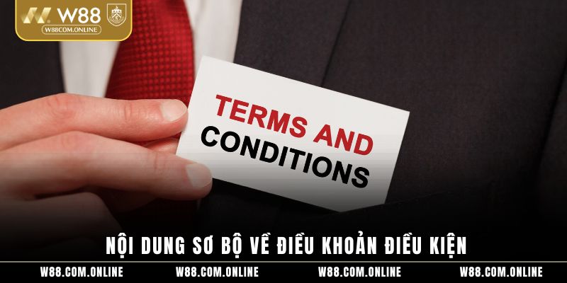 Nội dung sơ bộ về điều khoản điều kiện