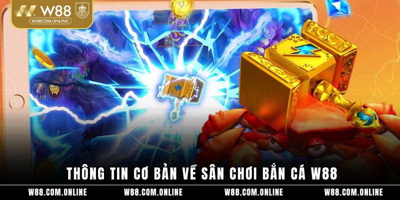 Thông tin cơ bản về sân chơi bắn cá W88