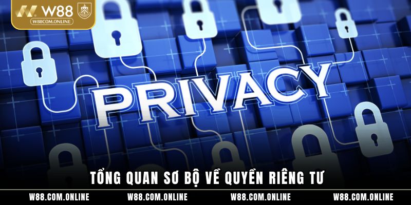 Tổng quan sơ bộ về quyền riêng tư